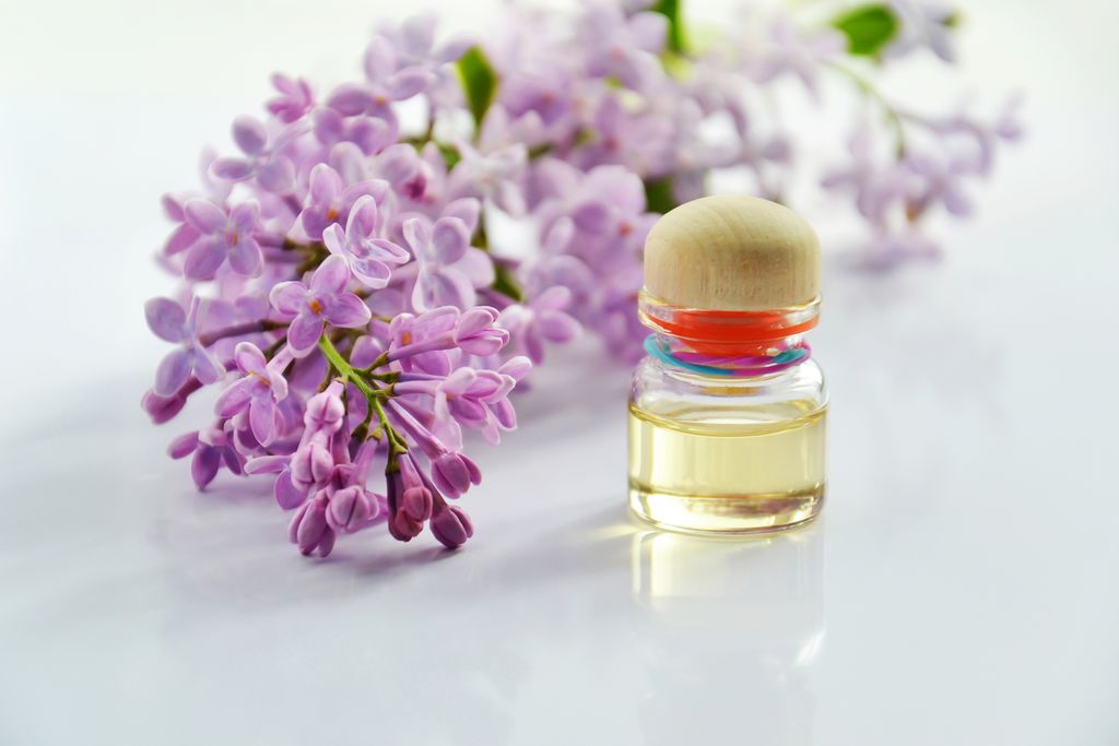 herbal insights for aromatherapy