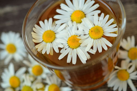 Chamomile Lemon FTW: Herbal Bliss in Every Sip