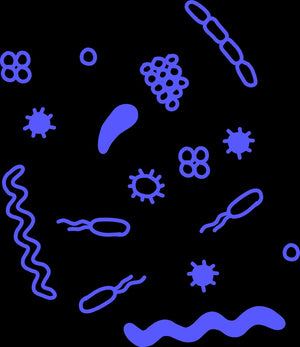 Exploring the Microbiome: Understanding Your Body's Ecosystem