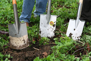 Gardening is a Form of Protest: Herbal Perspectives on Cultivating Change