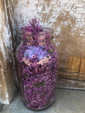 Jar filled with lilac flowers on a rustic wooden surface