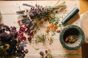 Spring Equinox: Intention Setting and Tincture Making  at Thu, Mar 20, 2025 05:30 PM PDT