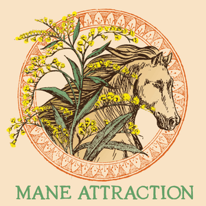 MANE ATTRACTION: HERBAL