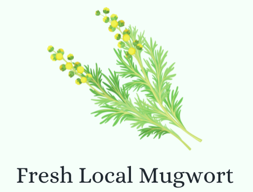 LOCAL MUGWORT: TOPICAL PAIN RELIEVER