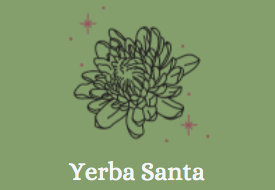 YERBA SANTA: RESPIRATORY WELLNESS